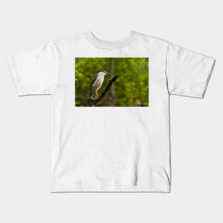 Black-Crowned Night Heron Kids T-Shirt